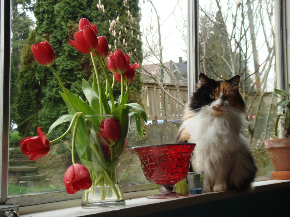 DSC00030