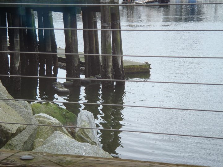 DSC00133