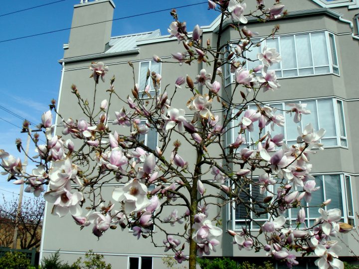 DSC00080
