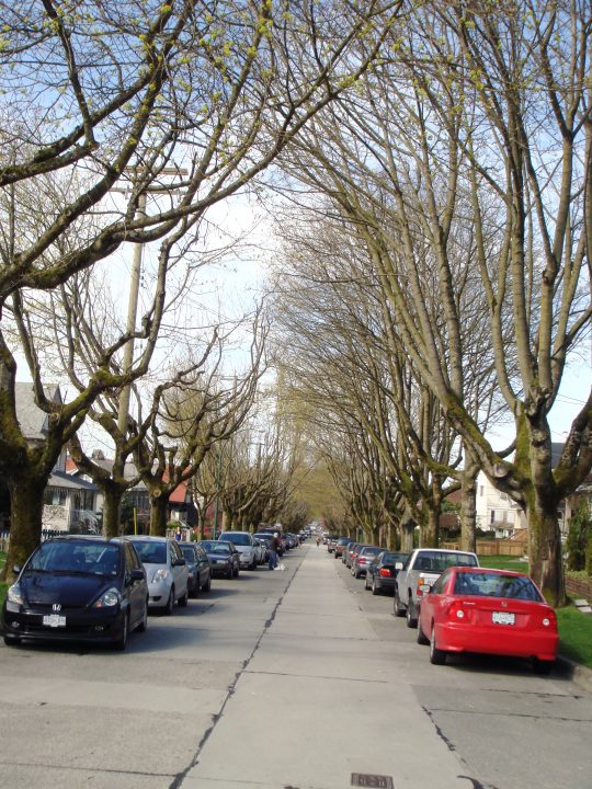 DSC00081