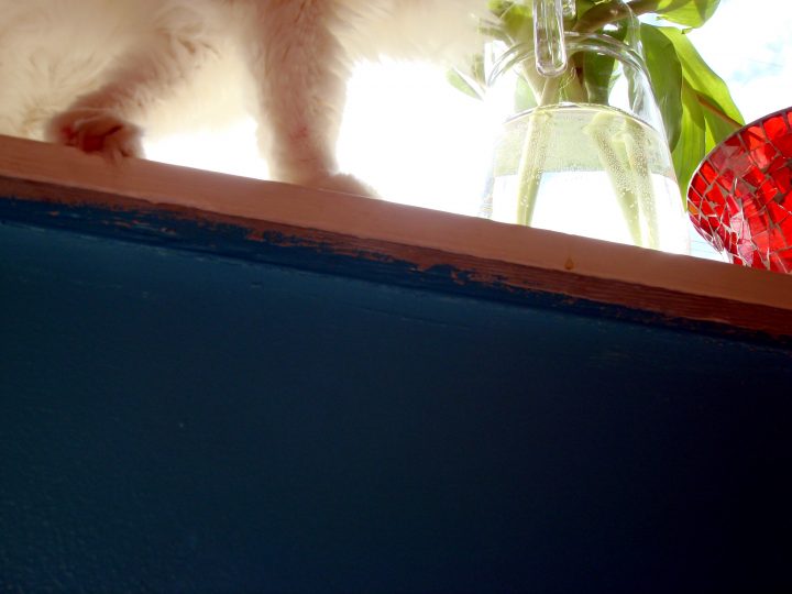 DSC00106