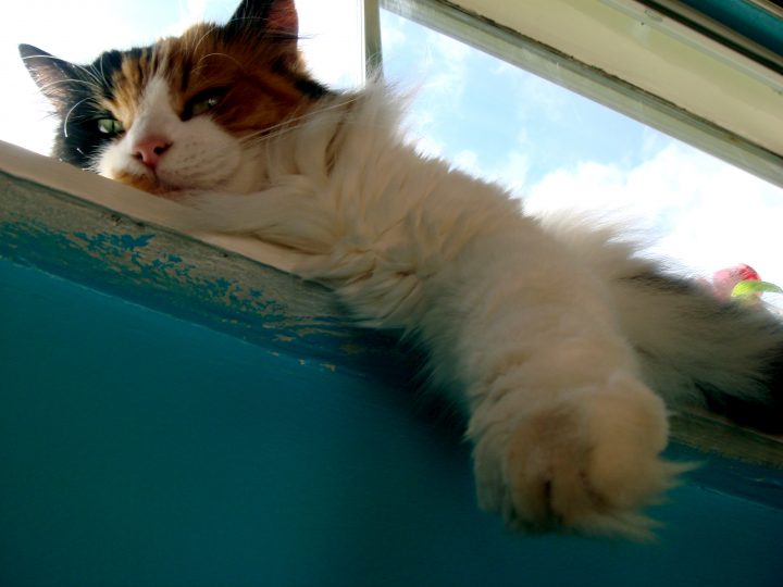 DSC00105
