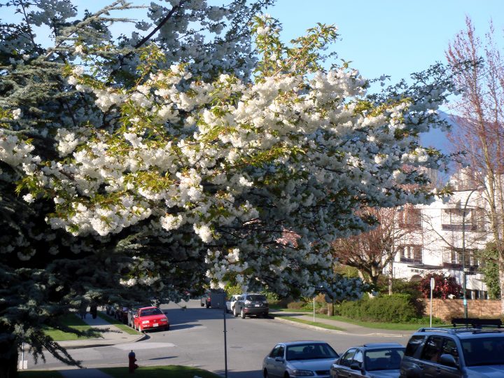 DSC00115