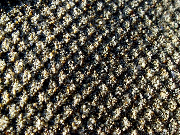 DSC00131
