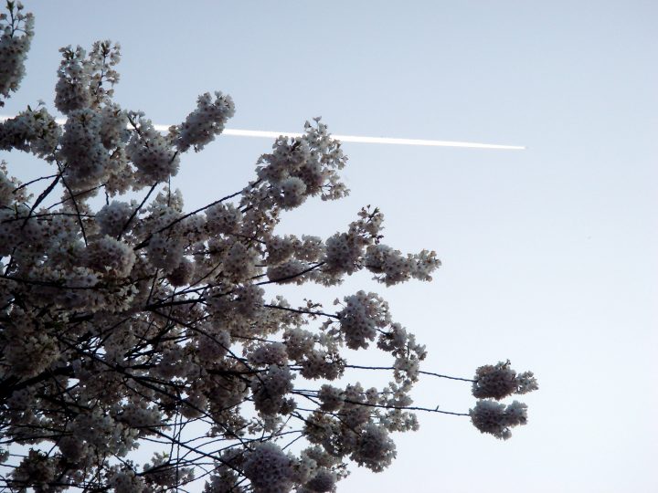 DSC00156