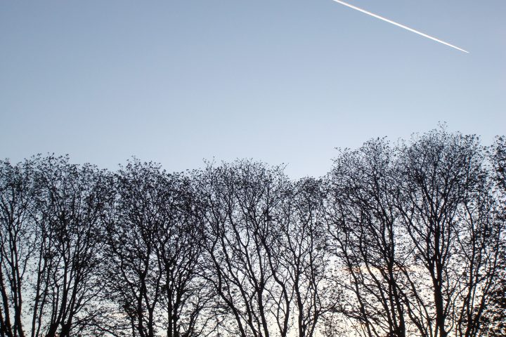 DSC00157
