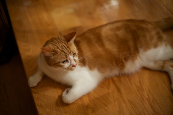 Charlie