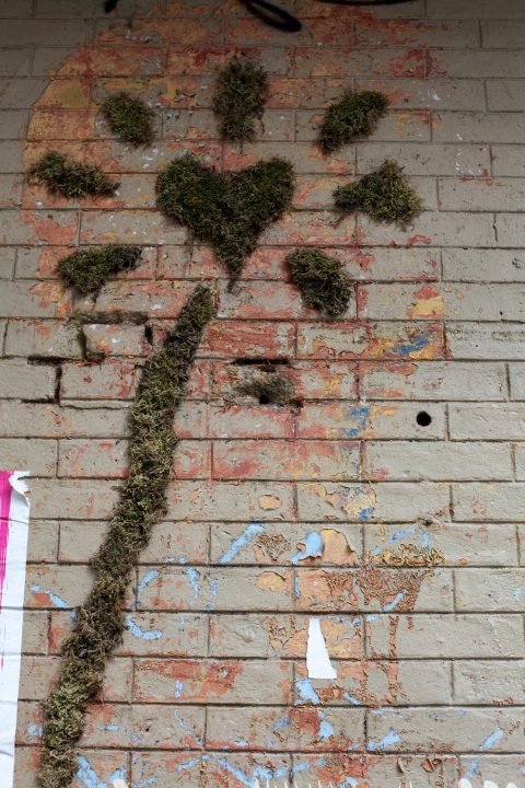 Flower made of Grass