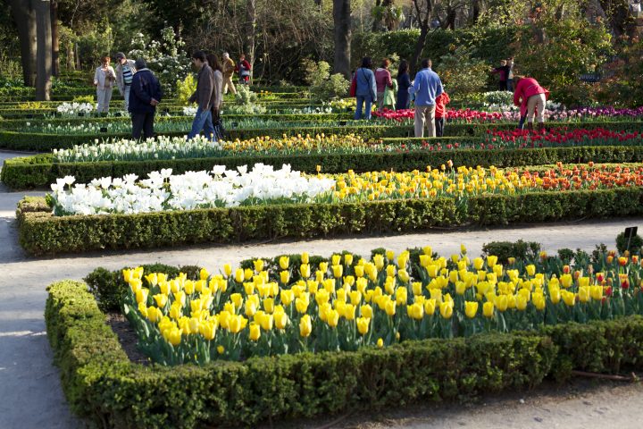 Royal Botanical Garden, Madrid
