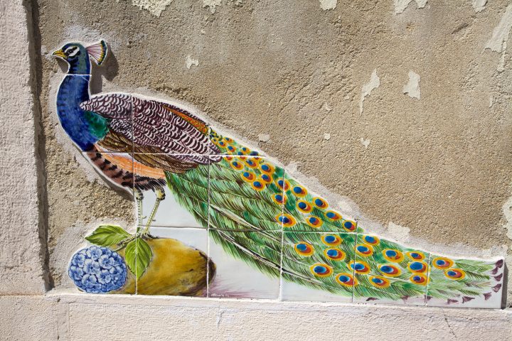 Tiles of Lisbon