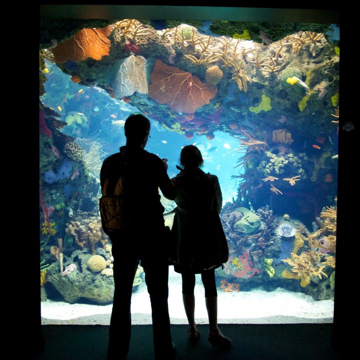 Lisbon Aquarium