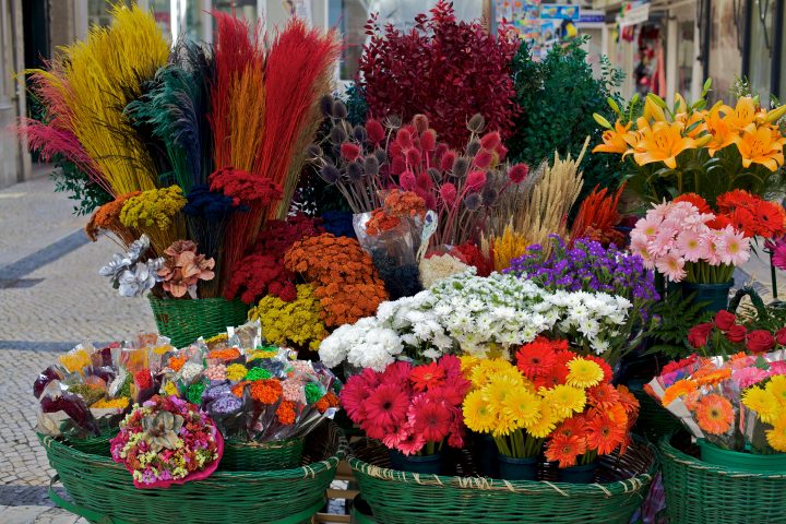 Flowers for Sale
