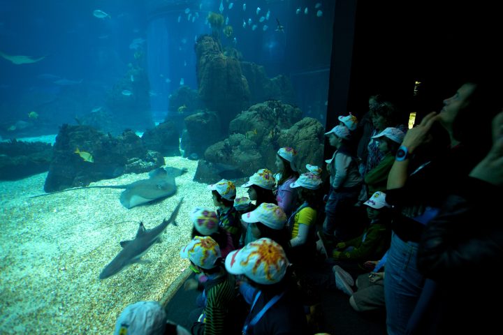 Lisbon Aquarium