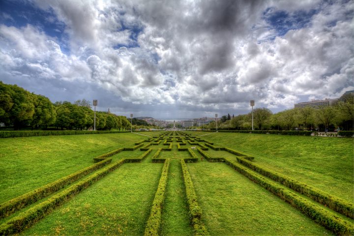 Symetrical Grass