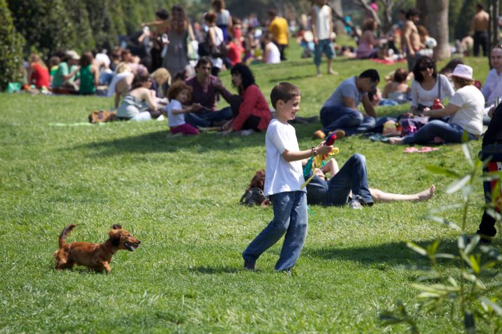 Boy playing with Dog