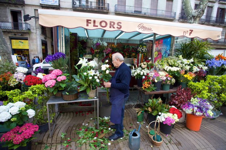 Florist Barcelona La Diada de Sant Jordi
