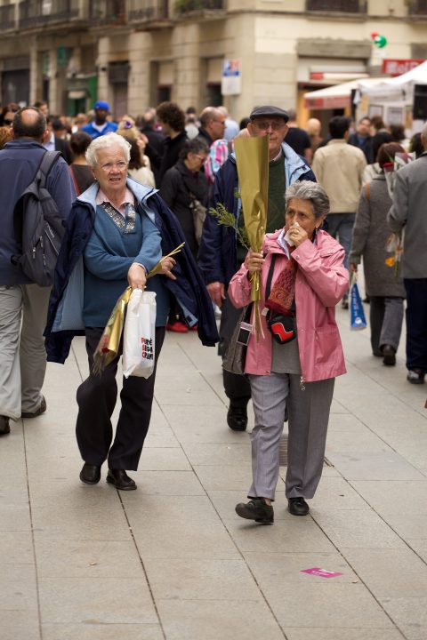 Barcelona La Diada de Sant Jordi