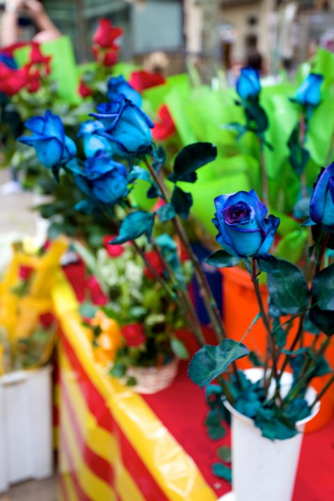 Barcelona La Diada de Sant Jordi