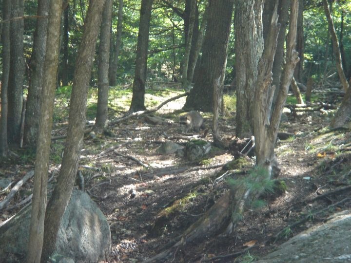DSC04067