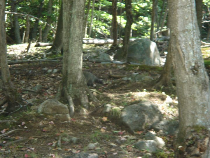 DSC04068