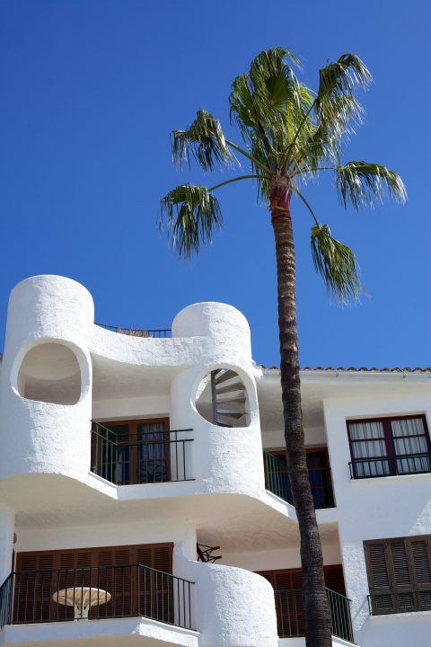 Palm Tree and Building Alcudia Majorca