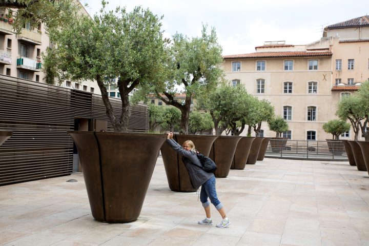 Large Potted Plants