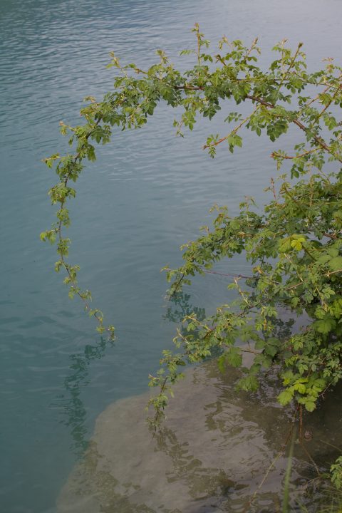 Interlaken
