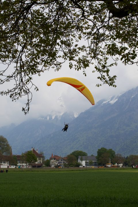 Paraglider Landing Interlaken