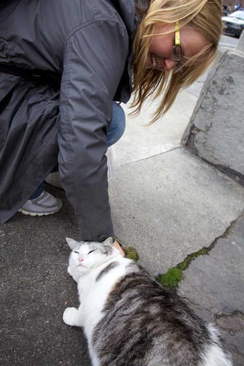 Chunkeh Kitteh Interlaken