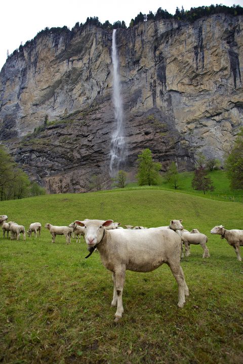 Lauterbrunnen