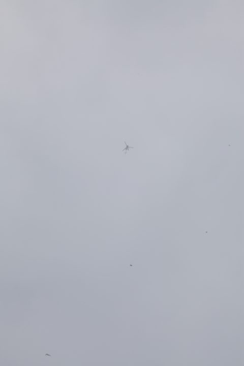 Lauterbrunnen Helicopter Skydiver