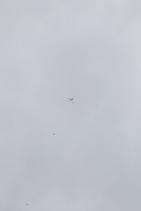 Lauterbrunnen Helicopter Skydiver