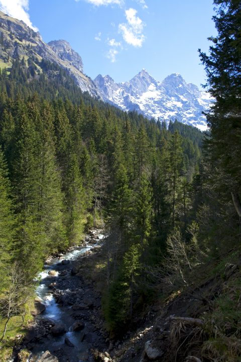 Gryon, Switzerland