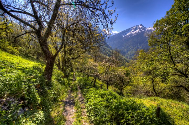 Fantastic Hiking Trail
