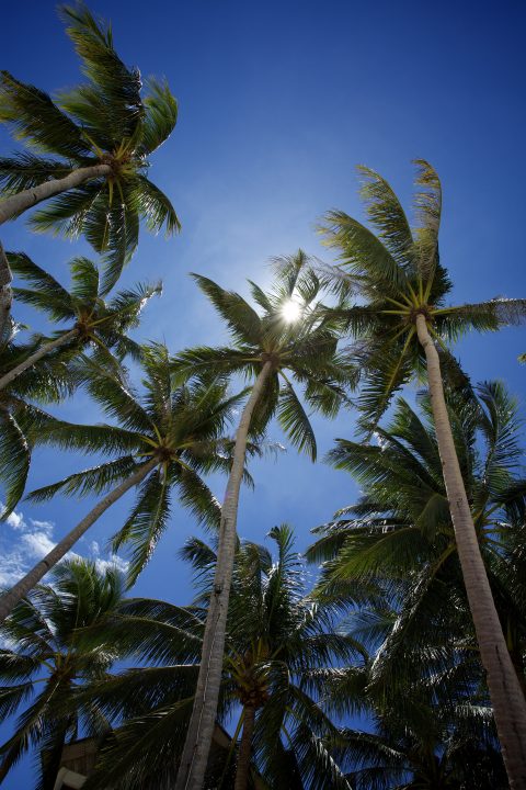 Boracay Philippines 70