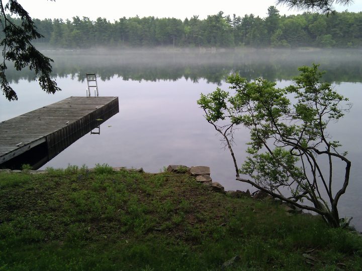 The Cottage