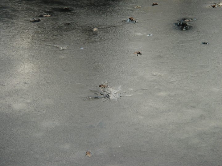 DSC04257