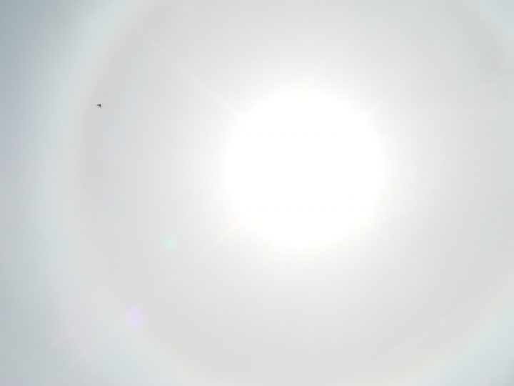 DSC08372
