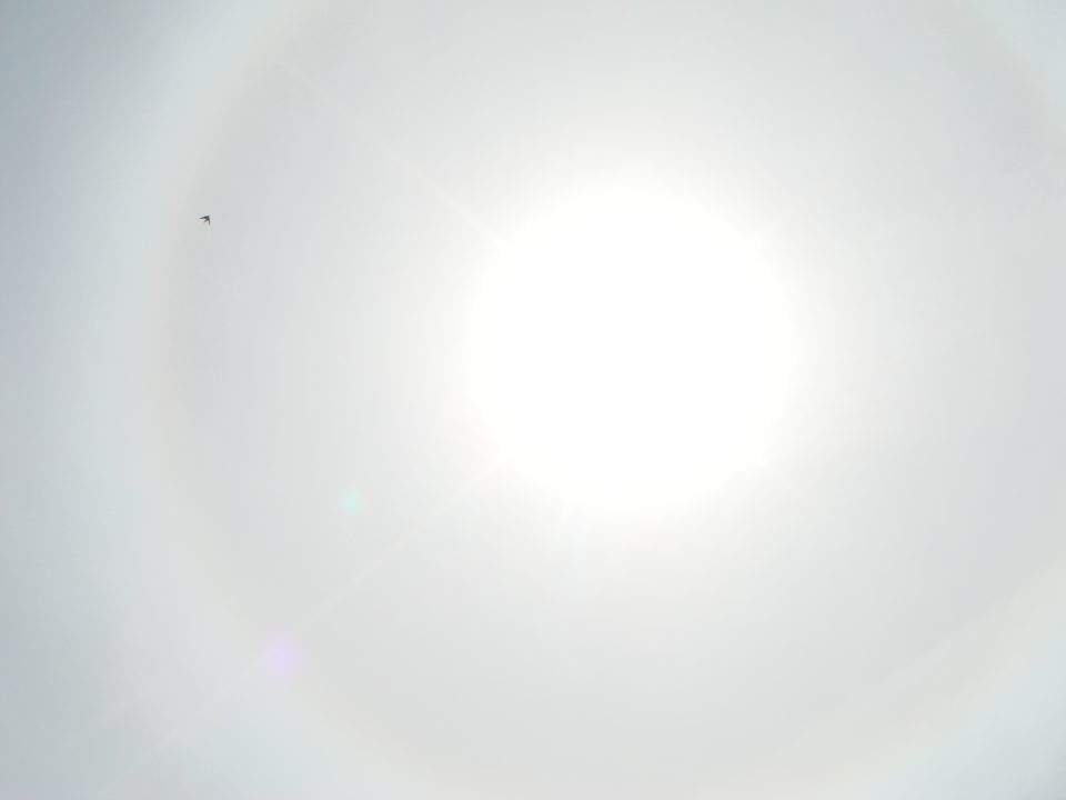 DSC08372