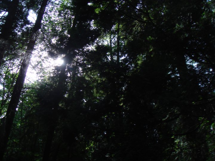 DSC08406