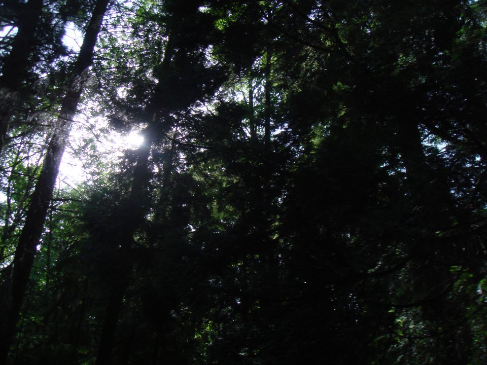 DSC08406