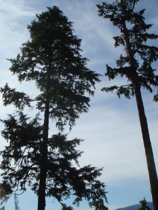 DSC08418