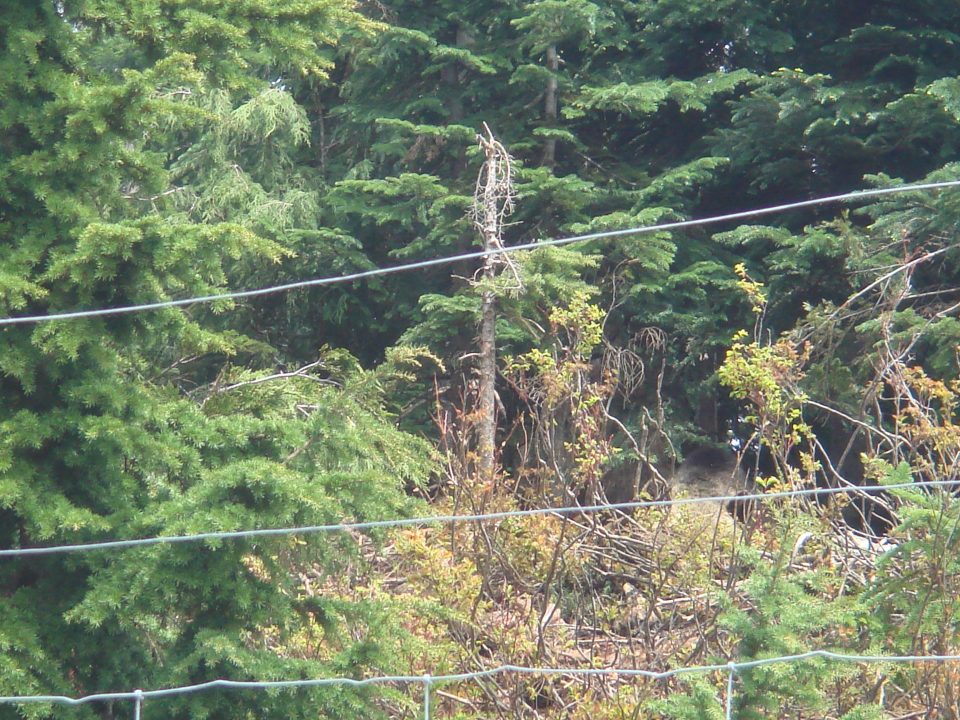 DSC08348