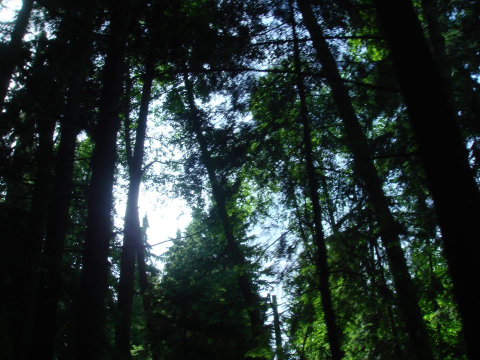 DSC08408