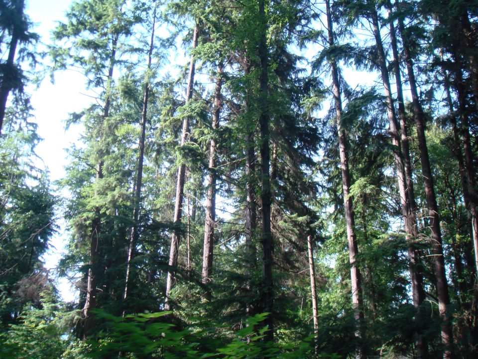 DSC08409