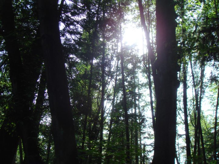 DSC08416