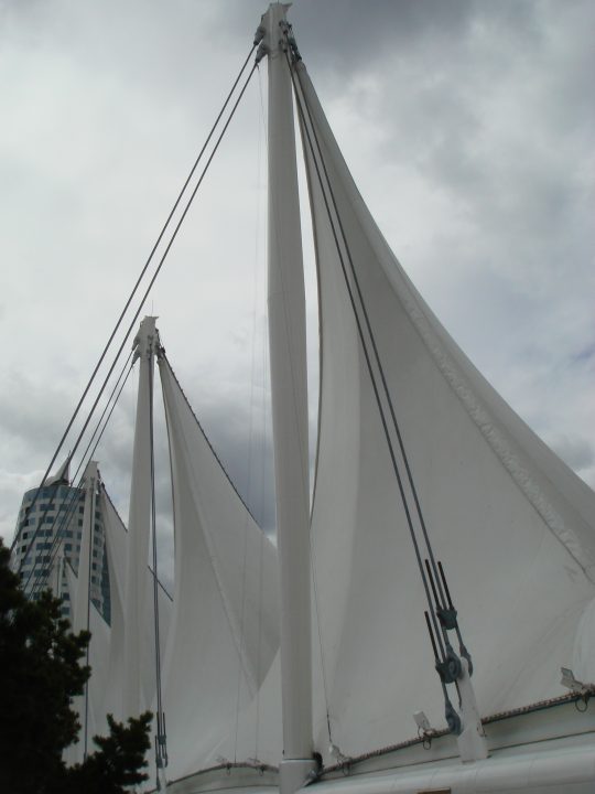 DSC08502