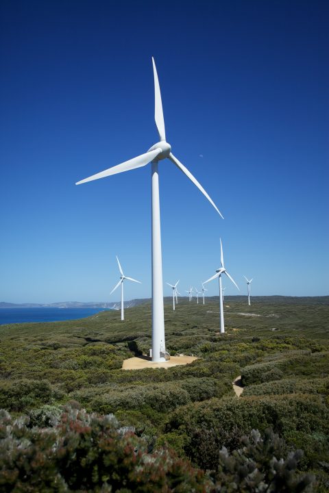 Albany Australia