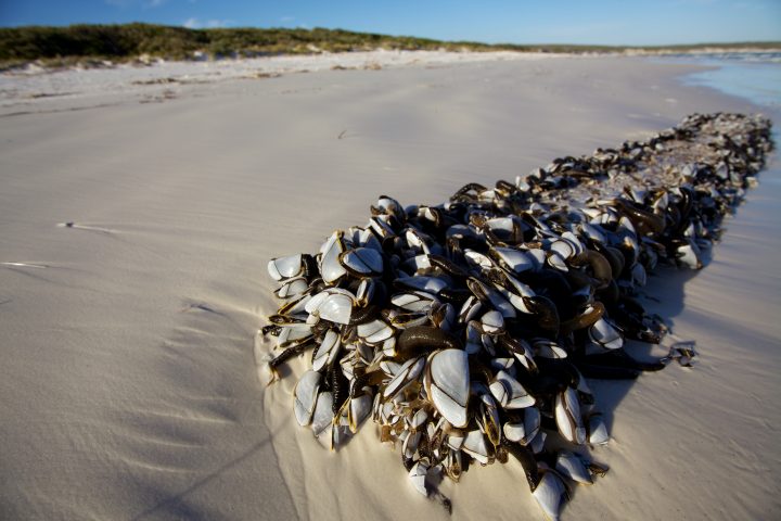 Alexander Bay Australia