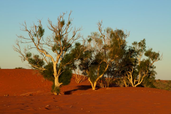 Uluru / Ayers Rock Australia